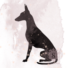 Трафарет - Фараонова собака 2