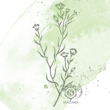 Трафарет - Полевой цветок