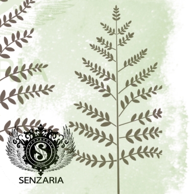 Трафарет - Полевые травы набор Трафарет - Полевые травы набор